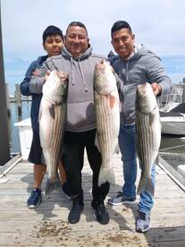 Highlands Report Photo 2