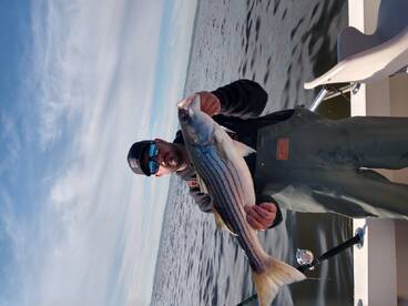 Mastic Report Photo 2