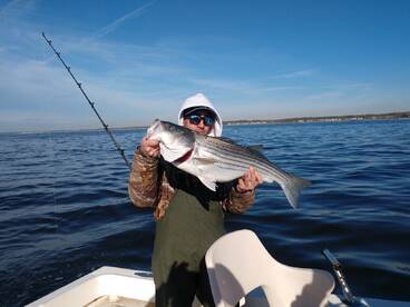 Mastic Report Photo 1