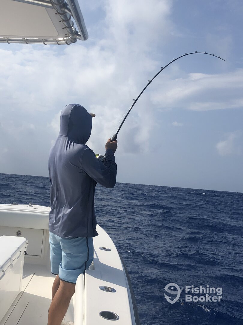 Marathon Report Photo 0