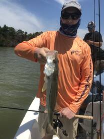 Marco Island Report Photo 2