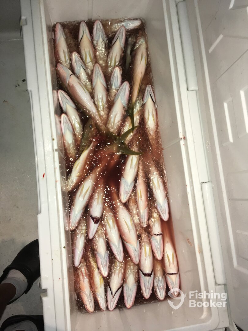 Dania Beach Report Photo 0