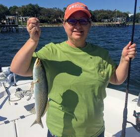 Navarre Report Photo 1