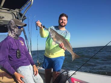 Venice Report Photo 2