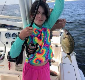 Navarre Report Photo 1