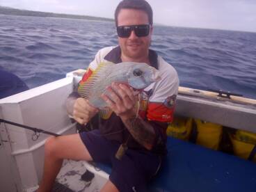 Snapper On The Water