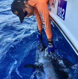 Puerto Aventuras Report Photo 1