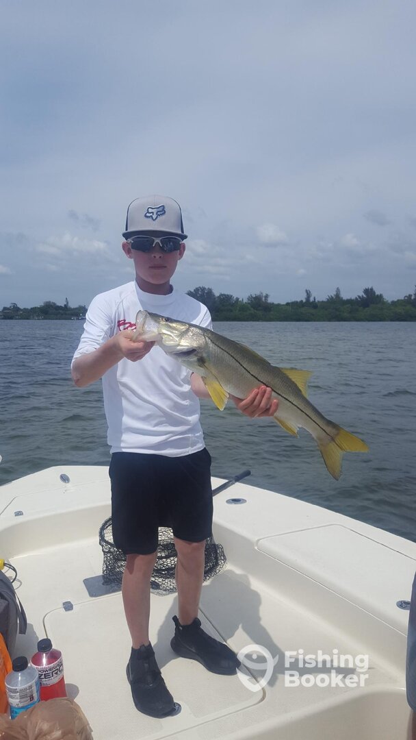 Sarasota Report Photo 0