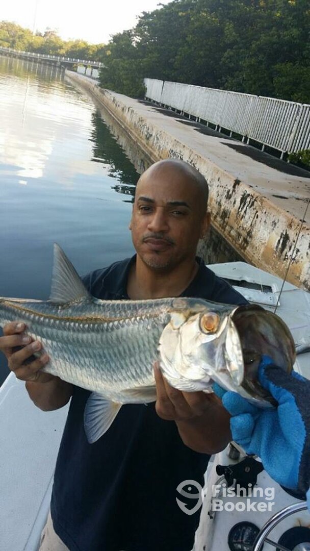 San Juan Report Photo 0