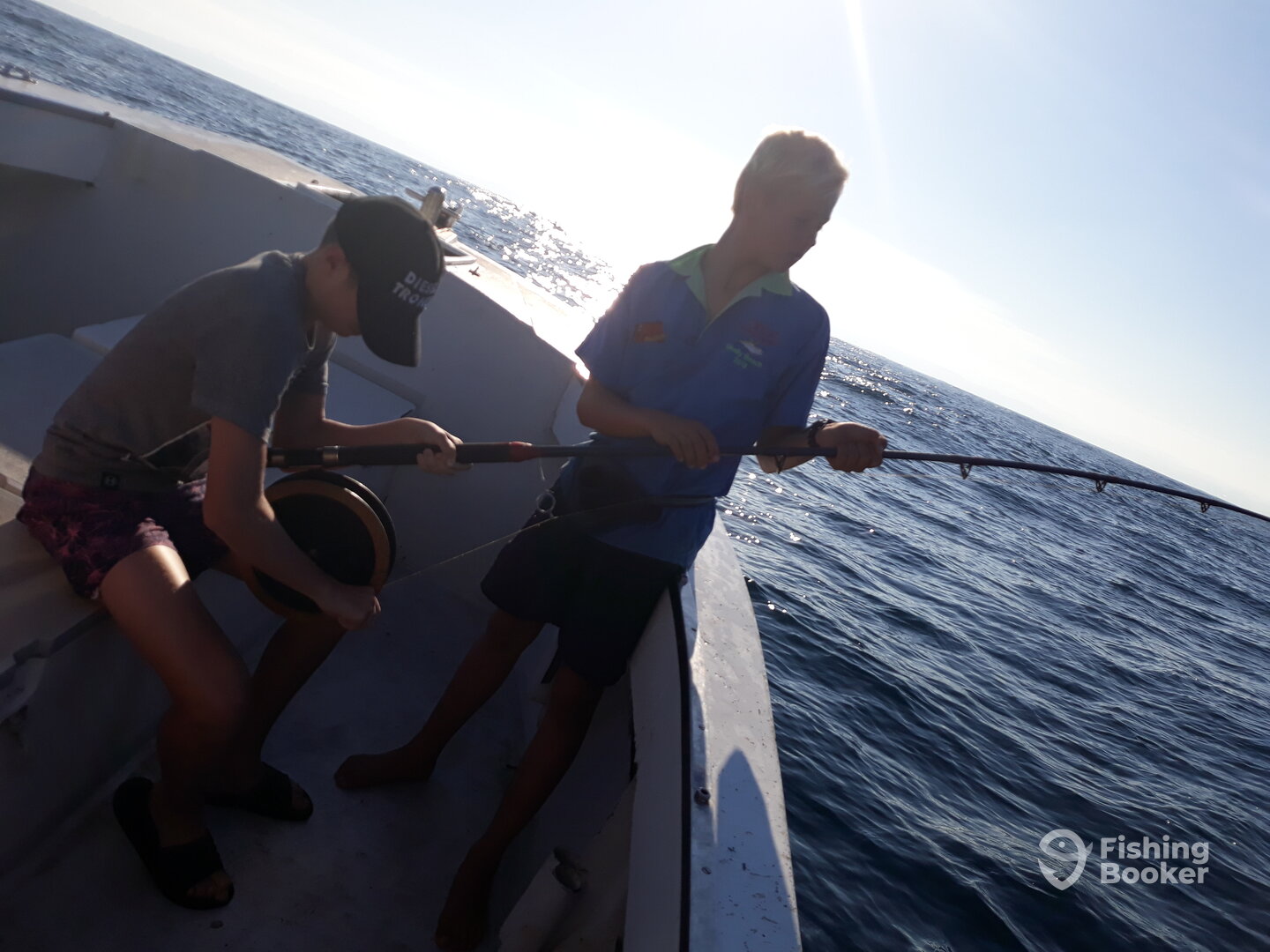 Shelly Beach Report Photo 0