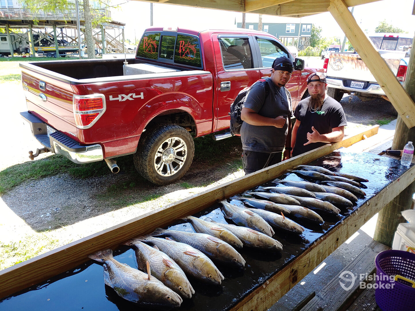 St. Bernard Report Photo 0