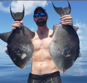 Triggerfish are biting!