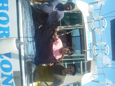 Grand Baie Report Photo 2