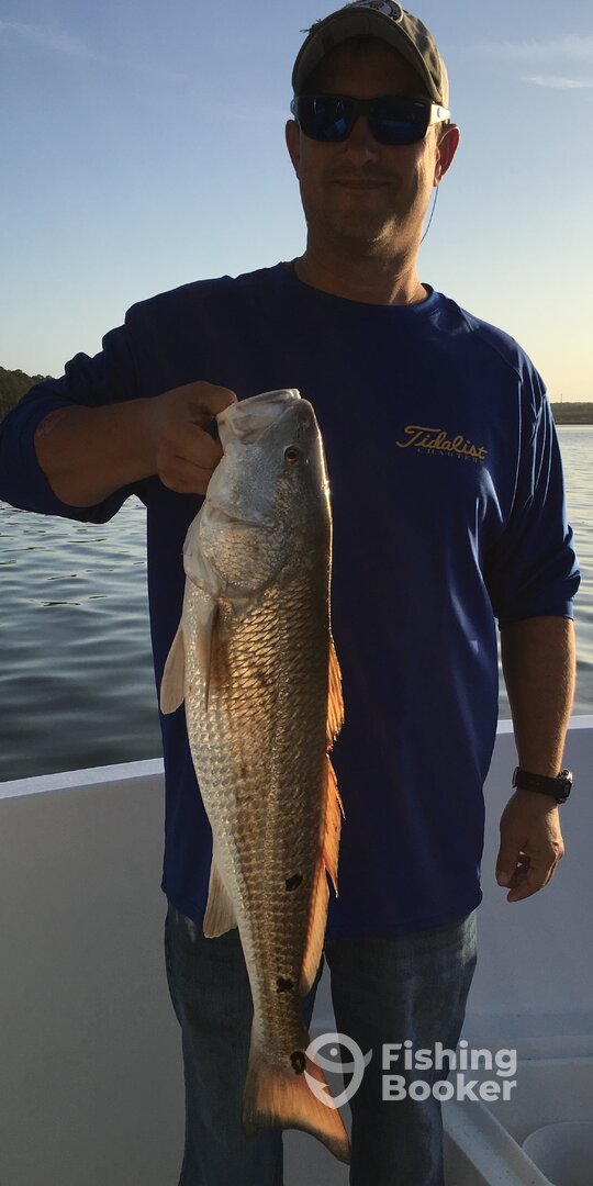 Fairhope Report Photo 0