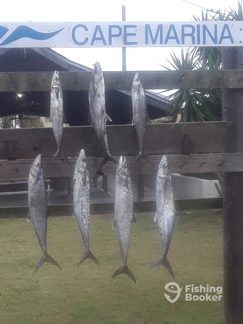 Port Canaveral Report Photo 0