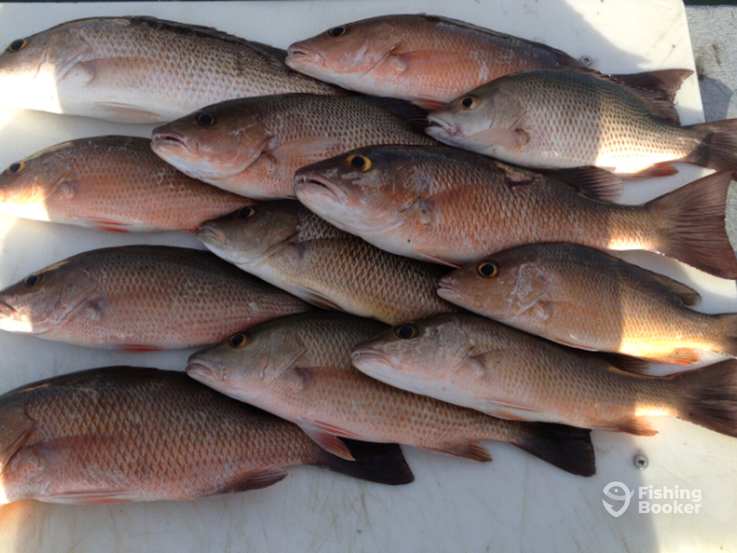 Destin Report Photo 0