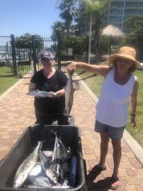 Orange Beach Report Photo 1