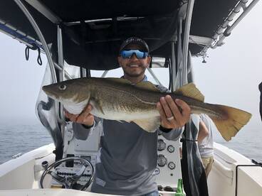 Cod fishing: catch and release only