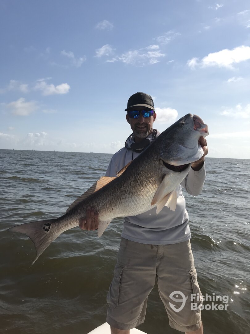 Venice Report Photo 0