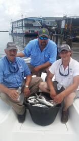 Another Fin-tastic trip