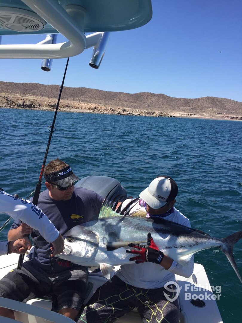 La Ventana Report Photo 0