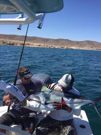 La Paz fishing May 7th