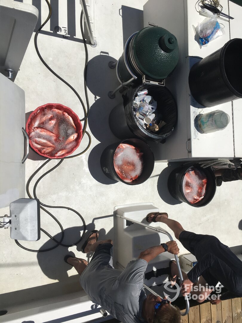 Orange Beach Report Photo 0