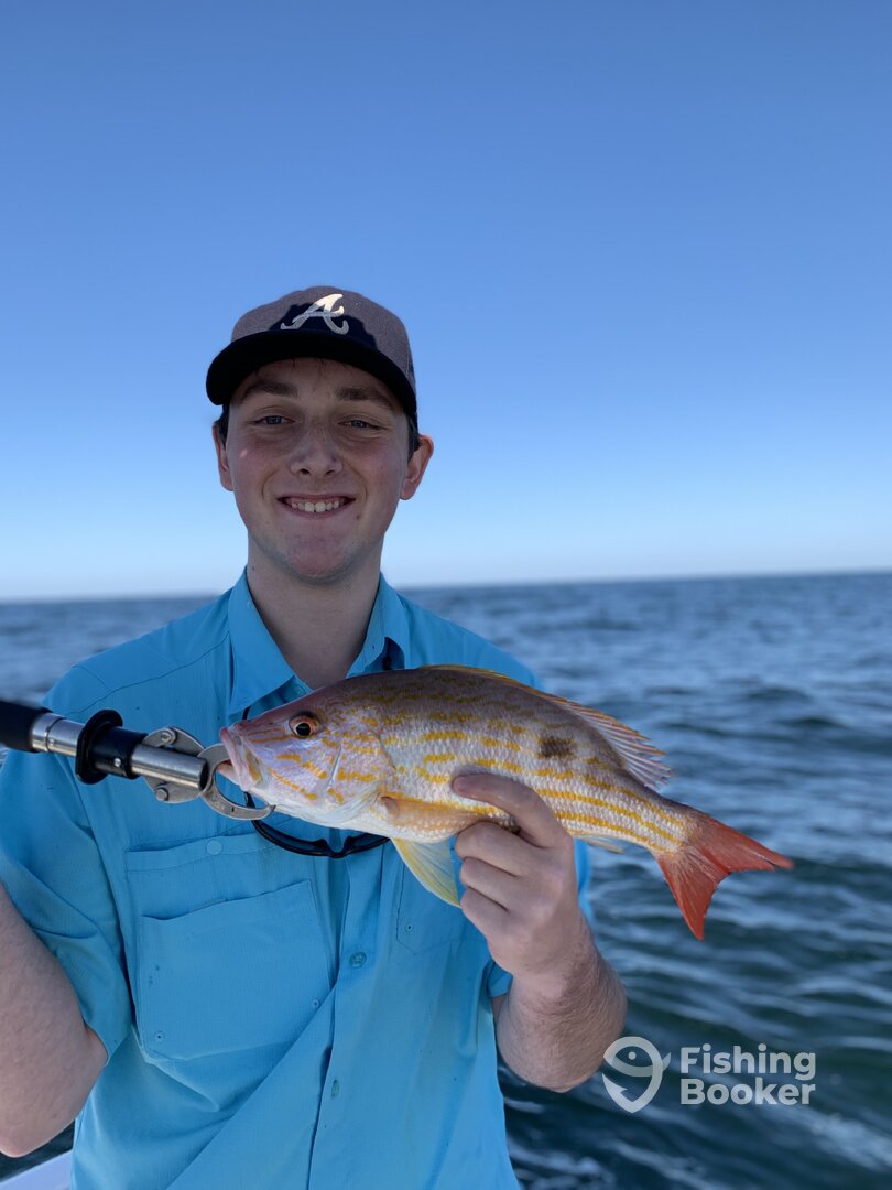 Orange Beach Report Photo 0