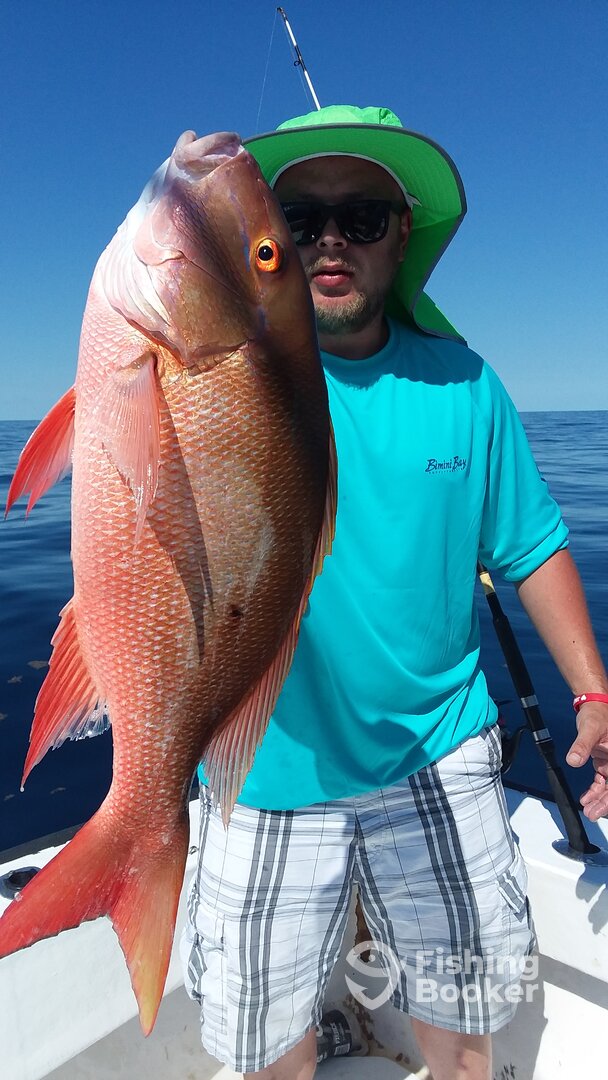 Sebastian Report Photo 0