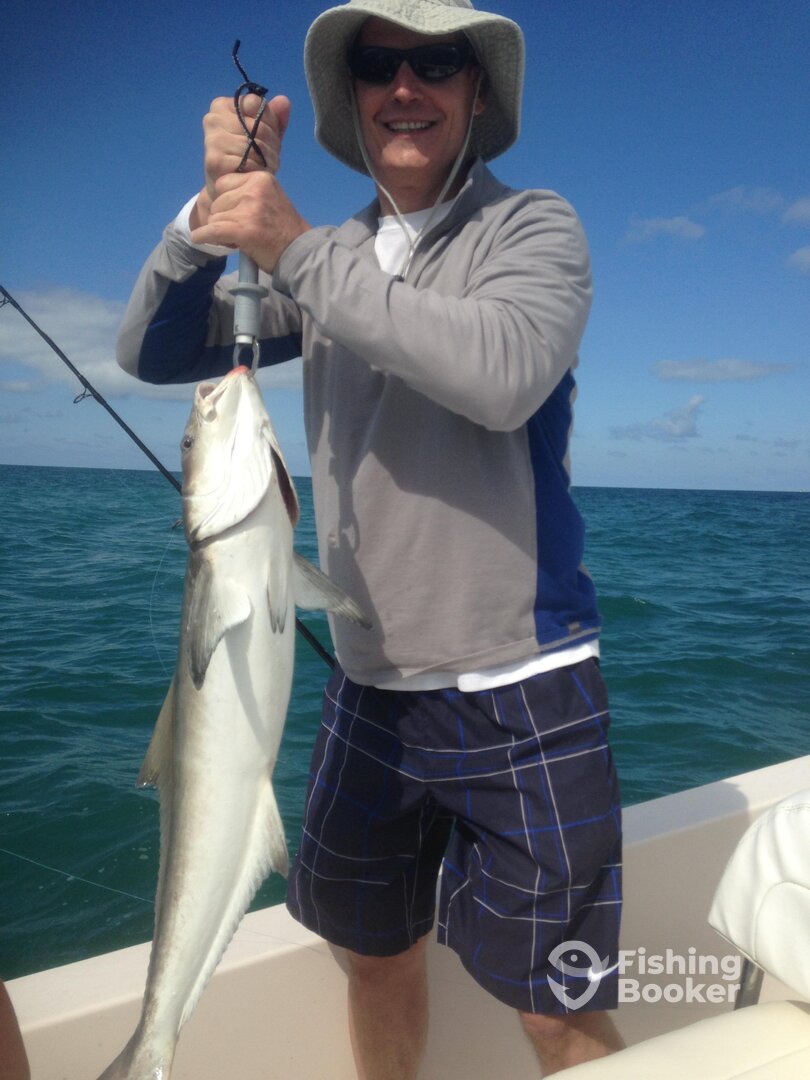 Fort Myers Beach Report Photo 0