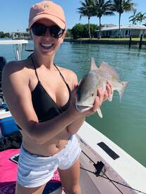 Sarasota Report Photo 2