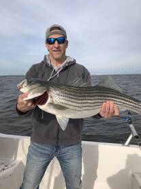 Back on the Stripers
