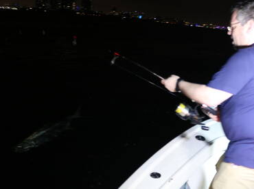 Miami Report Photo 1