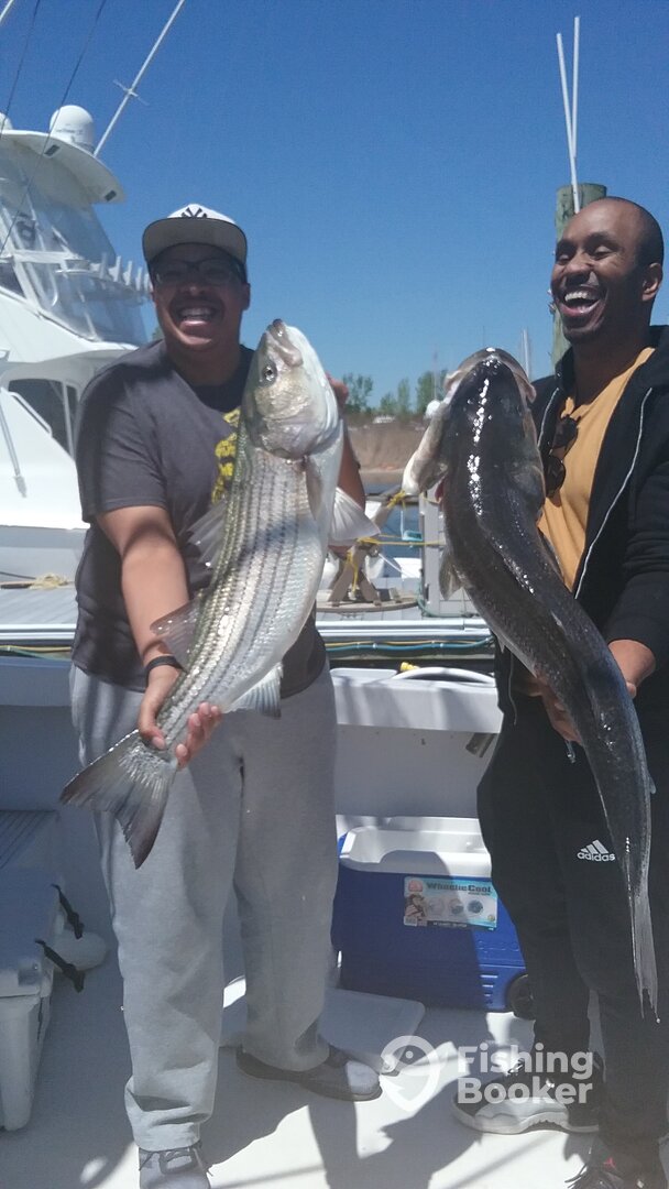 New York City Report Photo 0