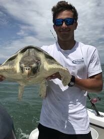 Virginia Beach Report Photo 2