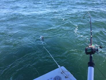 Kendall Report Photo 2