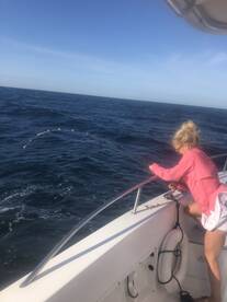 Orange Beach Report Photo 1