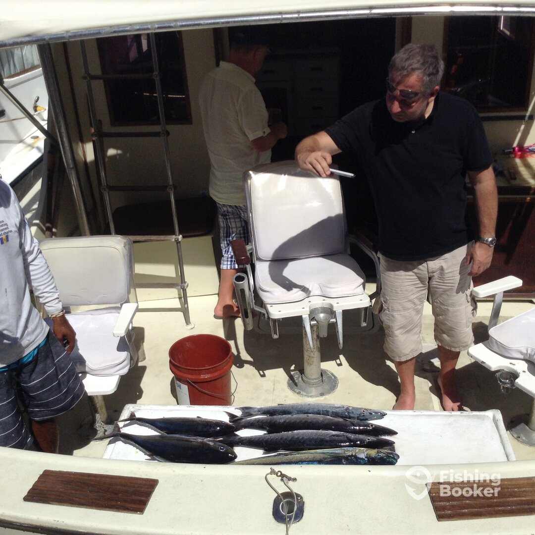 Bridgetown Report Photo 0