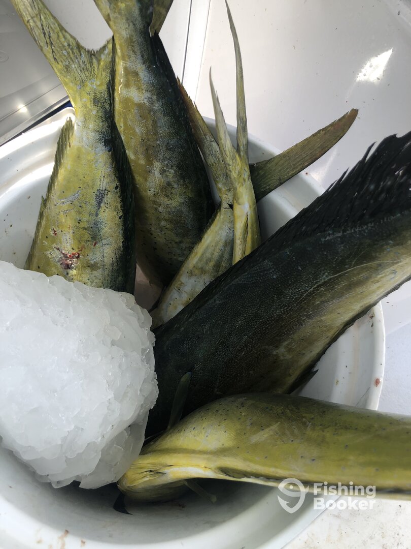 Marathon Report Photo 0