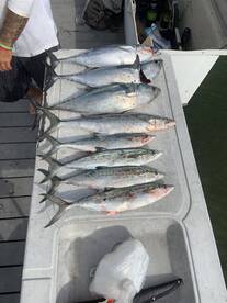 Destin Report Photo 2