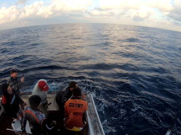 Sydney Report Photo 1