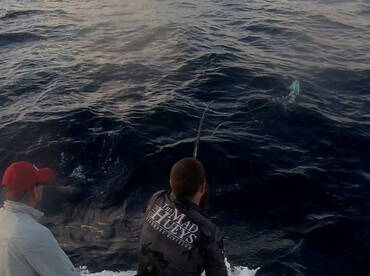 Sydney Report Photo 2