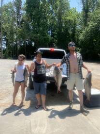 Tyner Report Photo 1