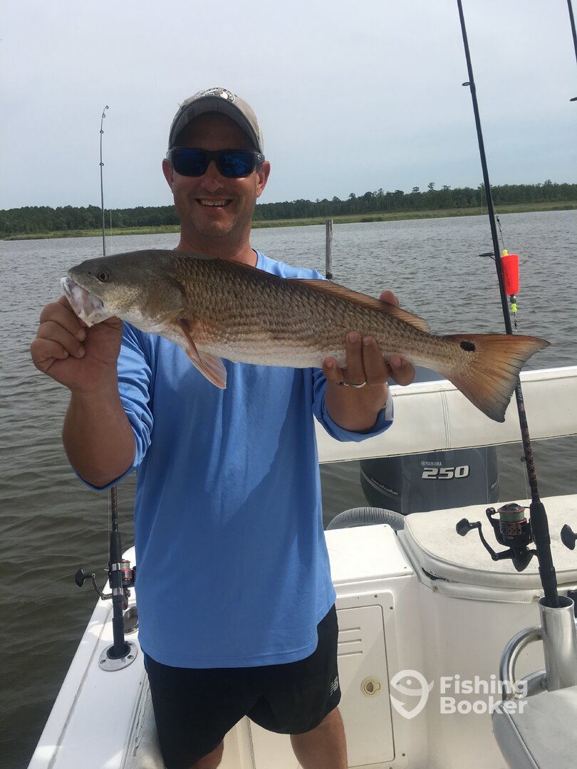 Fairhope Report Photo 0