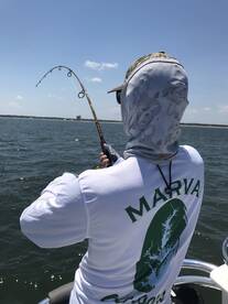 Norfolk Report Photo 2