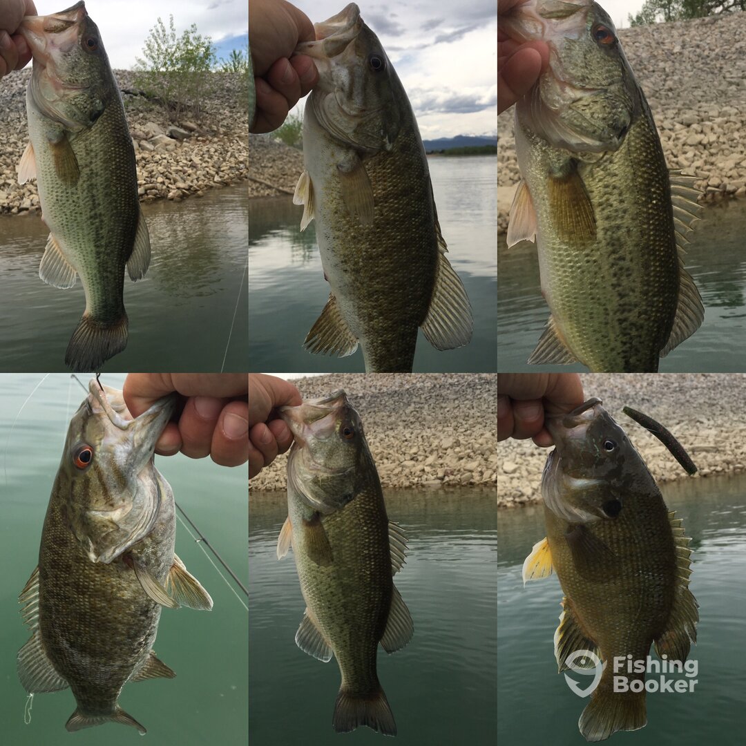 Loveland Report Photo 0