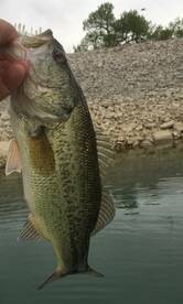 Loveland Report Photo 2