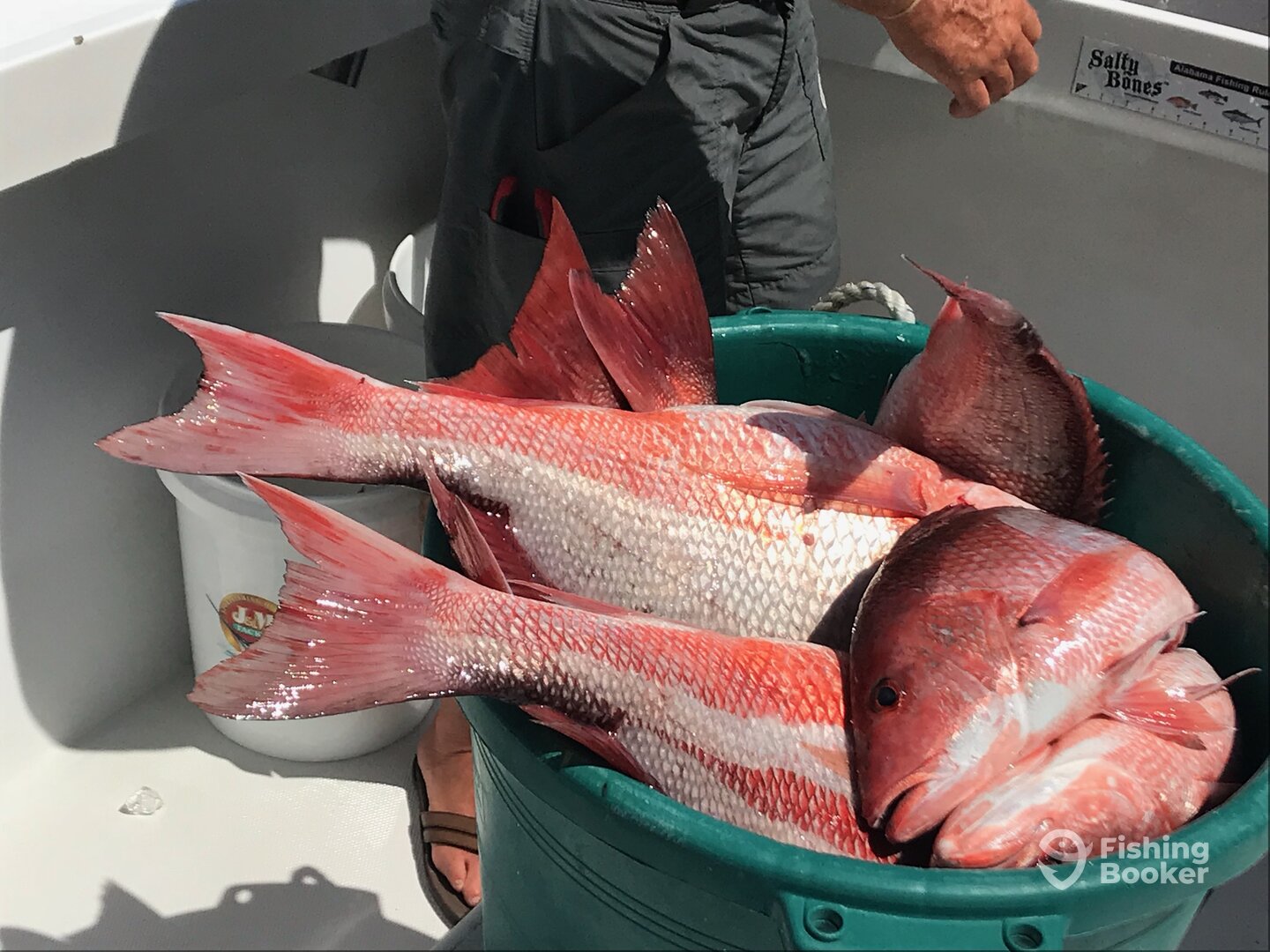 Orange Beach Report Photo 0