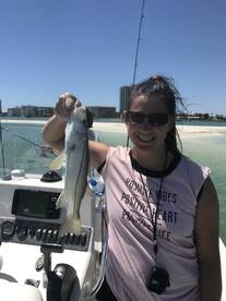 Marco Island Report Photo 1