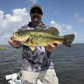 St. Bernard Report Photo 1